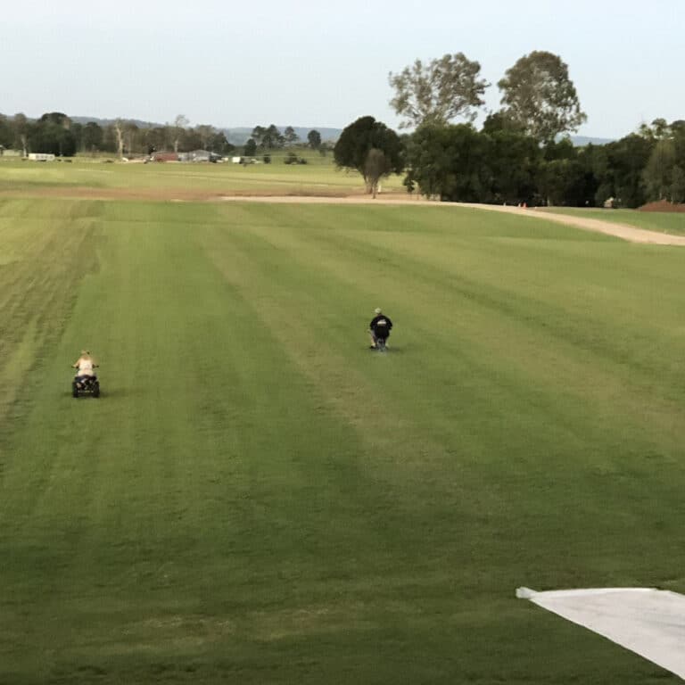 Sir Walter buffalo turf lawn