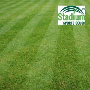 Stadium Couch Turf